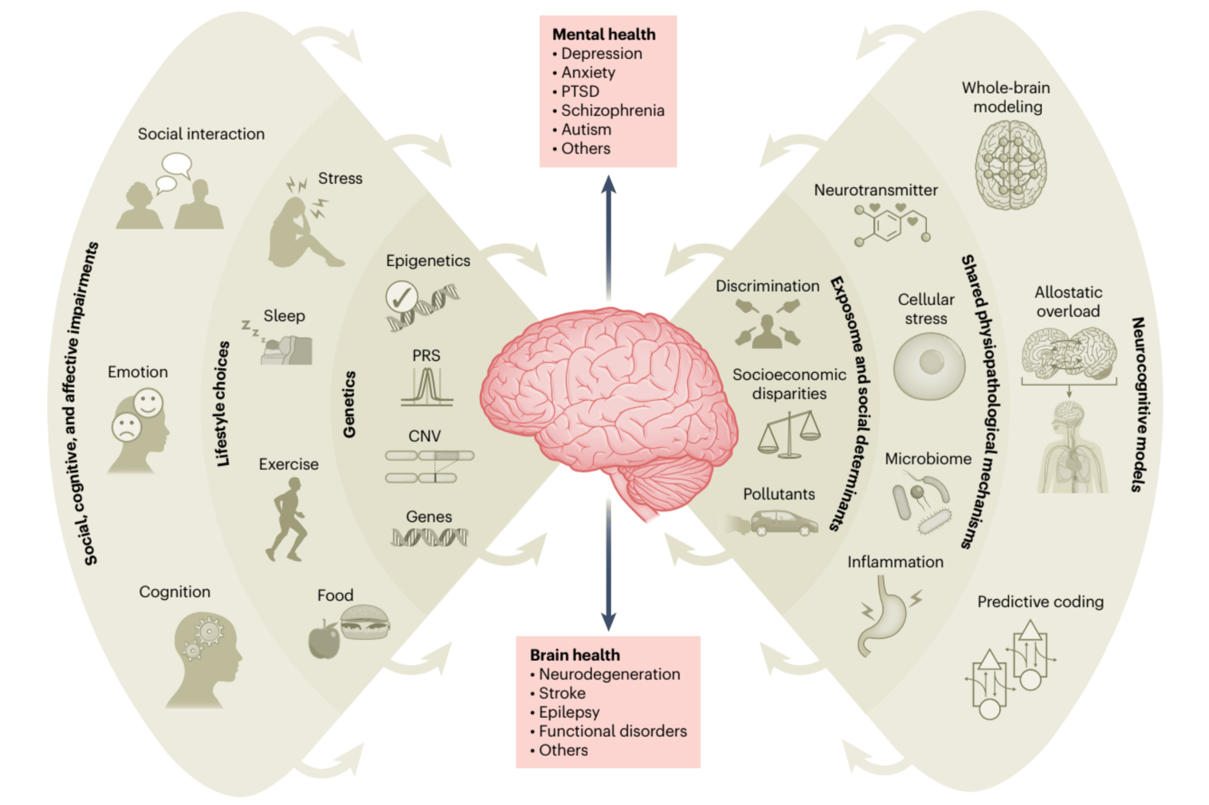 Our complex universe within: Merging mental and brain health | Research ...